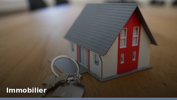 Immobilier